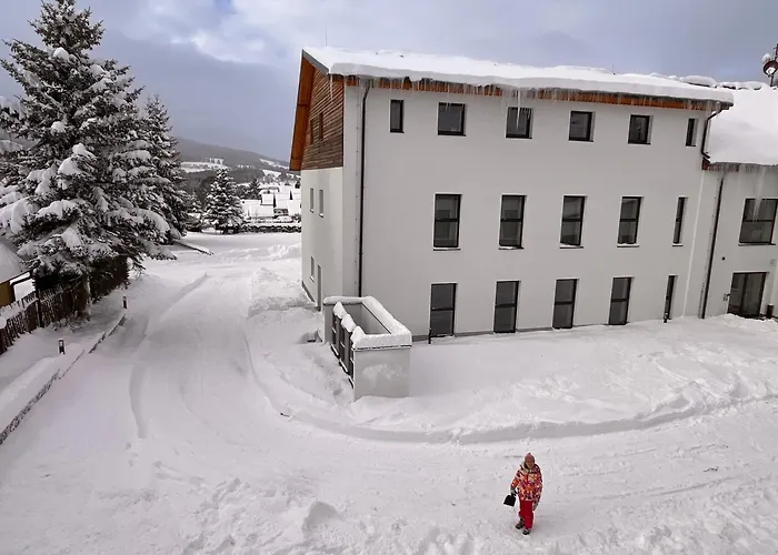 Alpine Sumava Apartment *